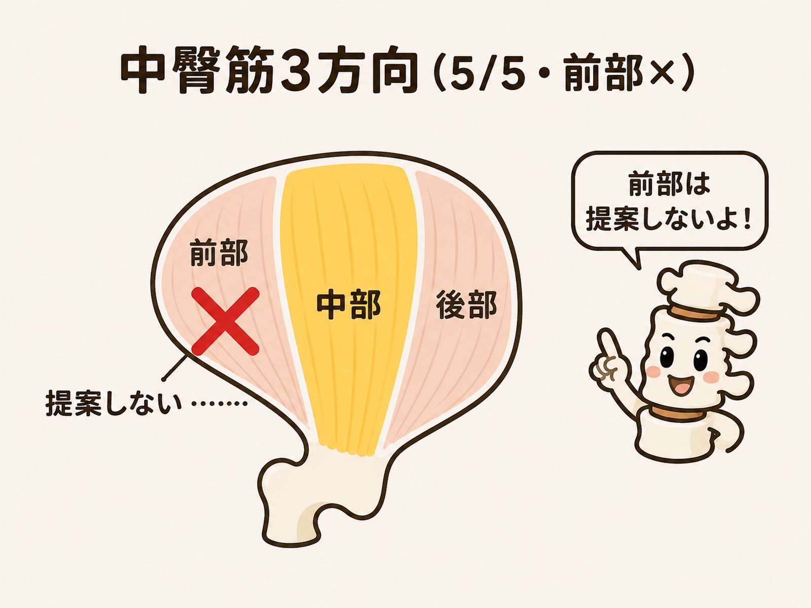 中臀筋の前部・中部・後部のうち前部は提案しないことを示した図