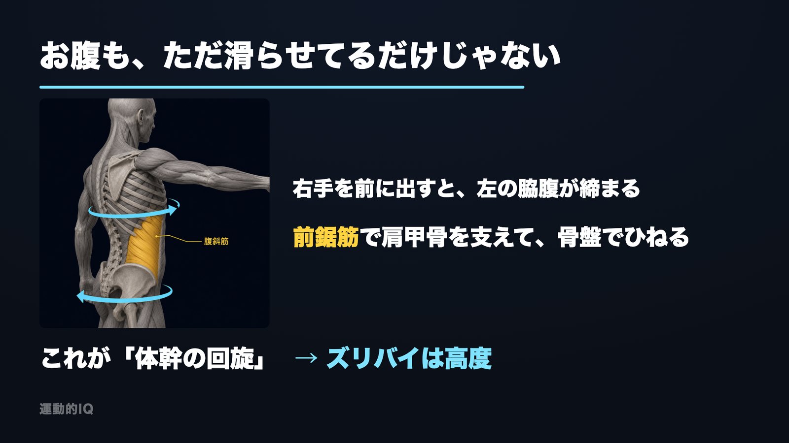 右手を前に出すと左の脇腹が締まる＝体幹の回旋と腹斜筋を示した図