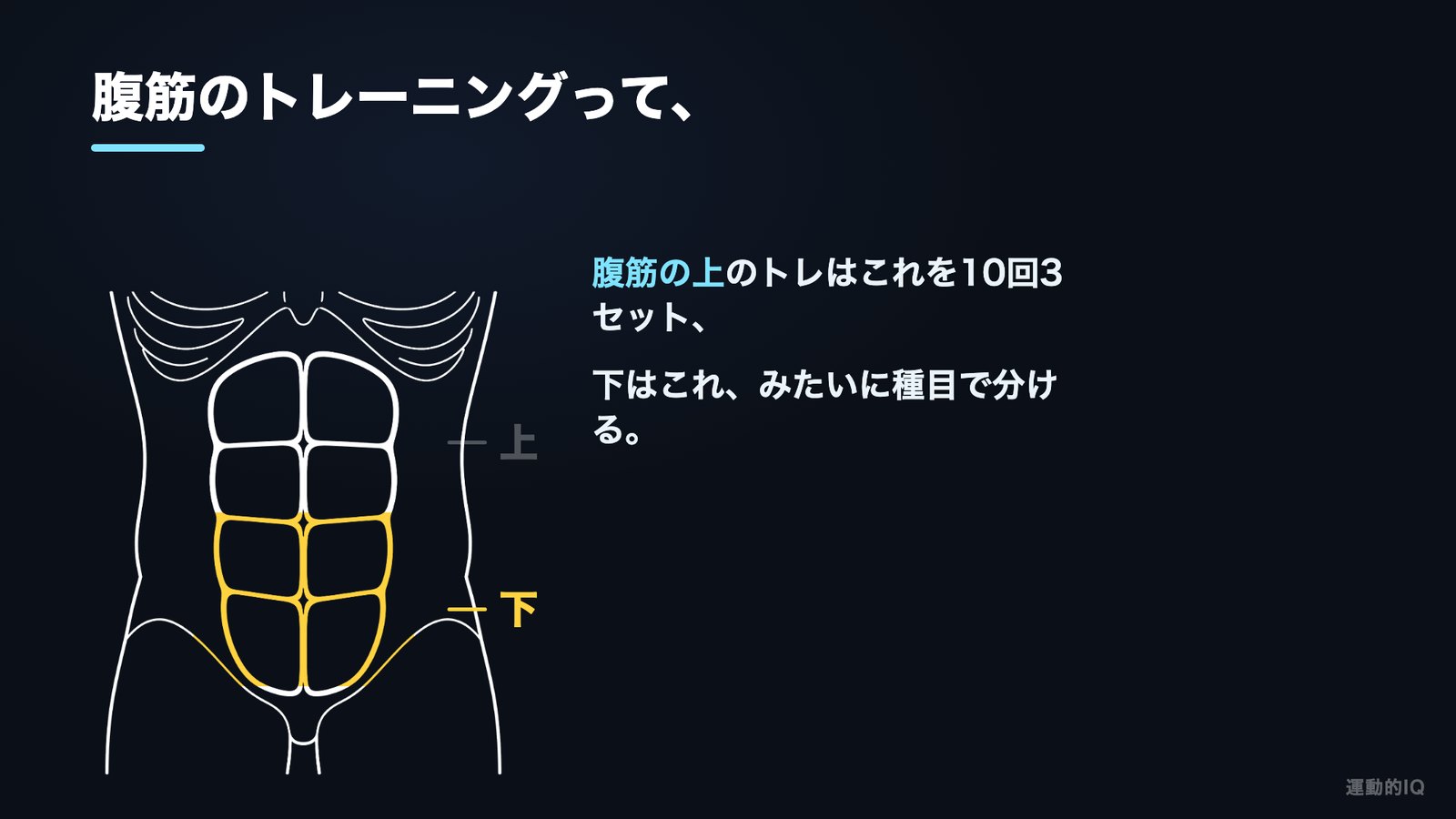 下っ腹に効かない 腹筋の上と下の違いを示した図
