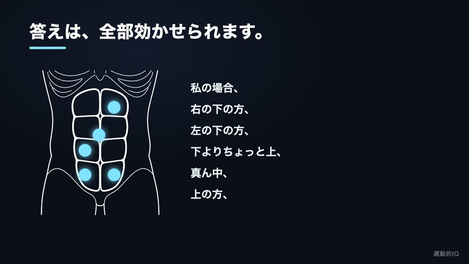 クランチで腹筋のどこに効かせるかを示した腹直筋の図