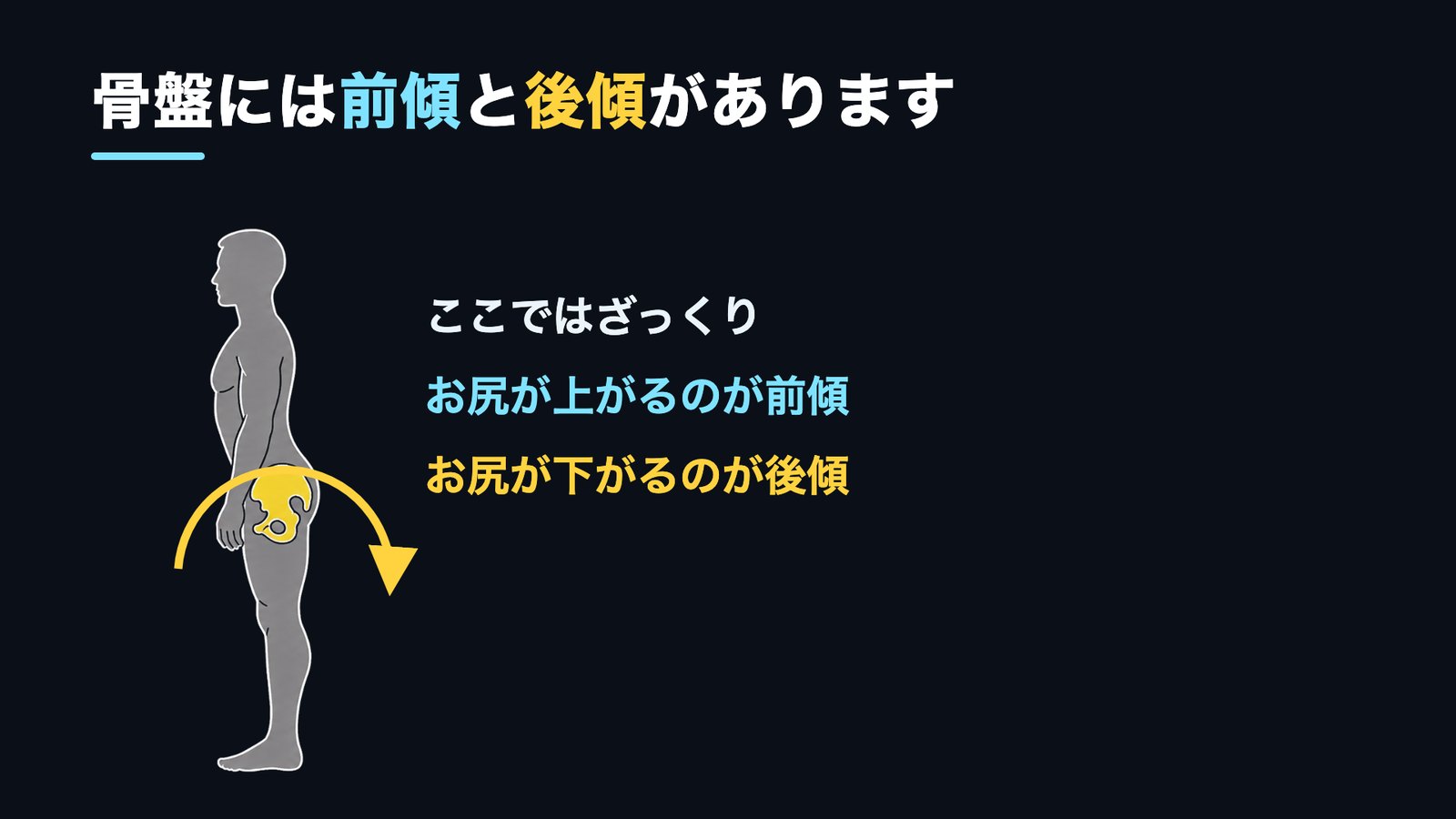 ヒップリフト 骨盤の前傾と後傾 お尻が上がる下がる 図解