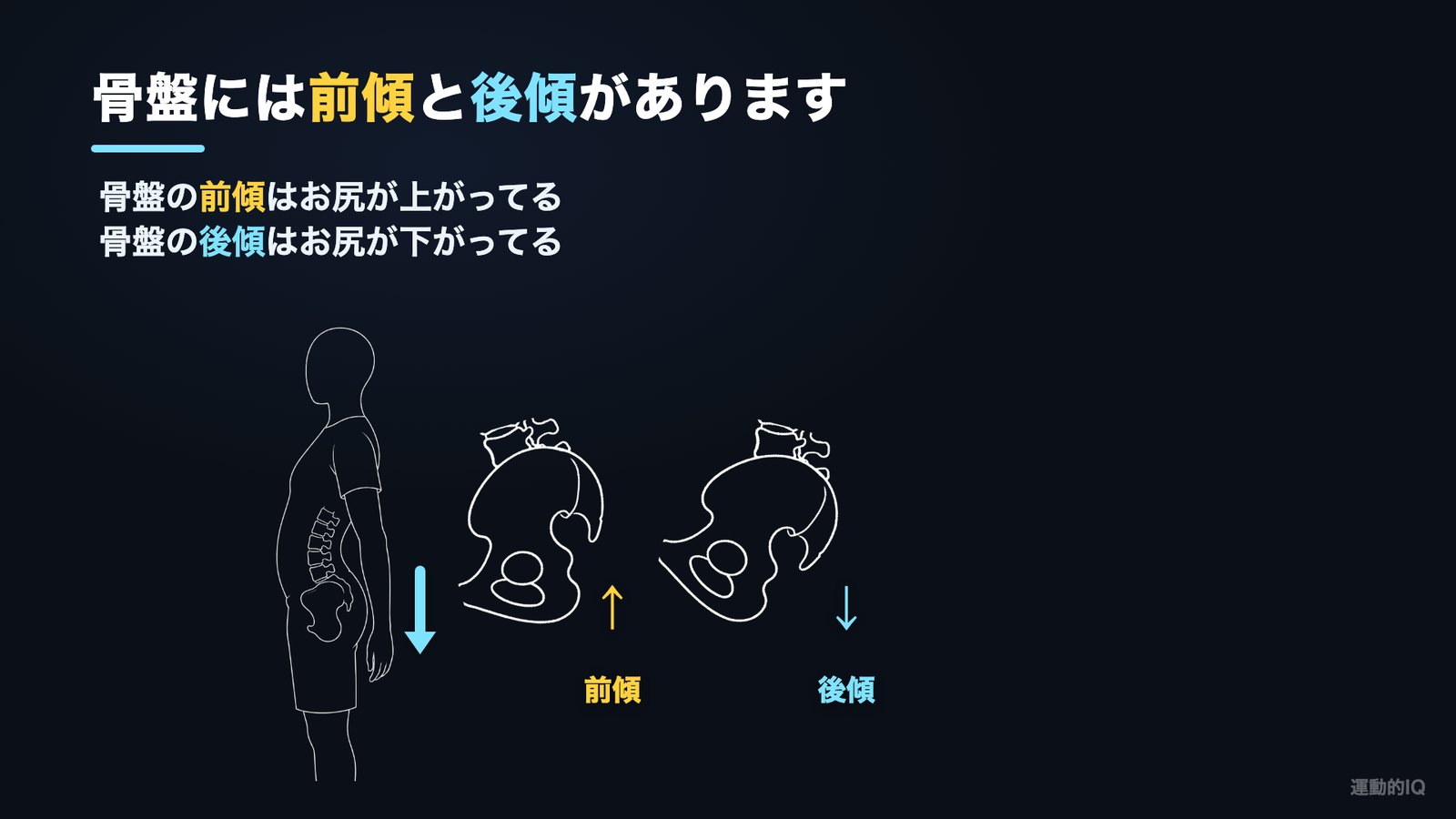 骨盤の前傾(お尻が上がる)と後傾(お尻が下がる)の図