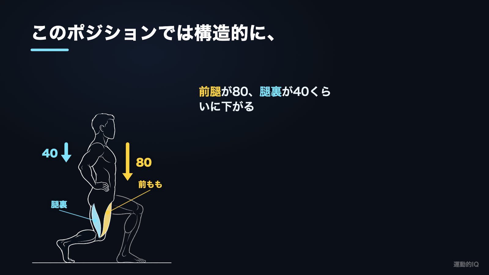ランジスクワットの一番下で前もも80・腿裏40に逆転する図