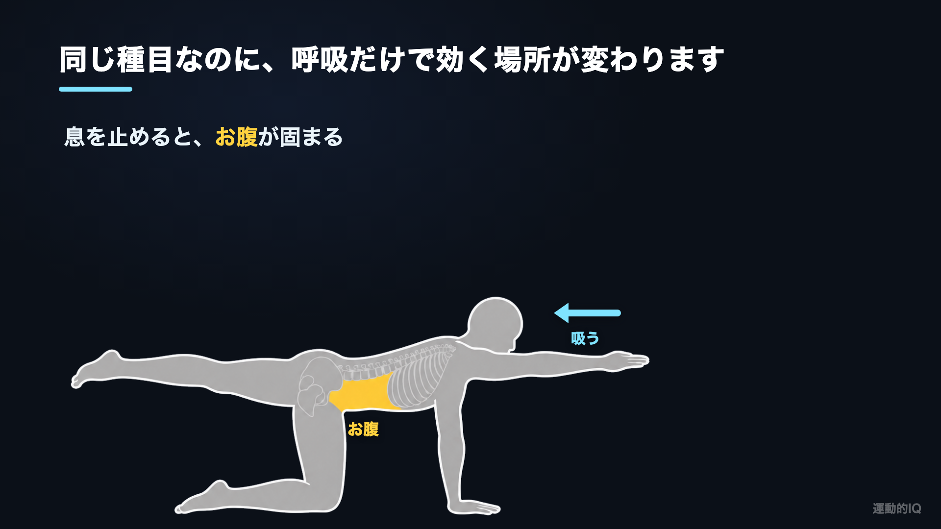 息を止めるとお腹が固まる=腹圧が入る