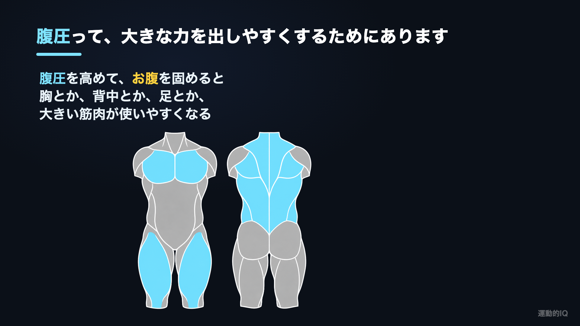 腹圧を高めると胸・背中・足の大きい筋肉が使いやすくなる