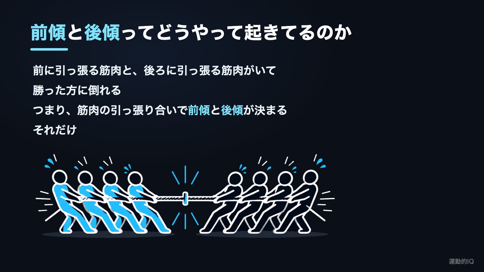 骨盤の前傾と後傾は前に引く筋肉と後ろに引く筋肉の引っ張り合いで決まる綱引きの図