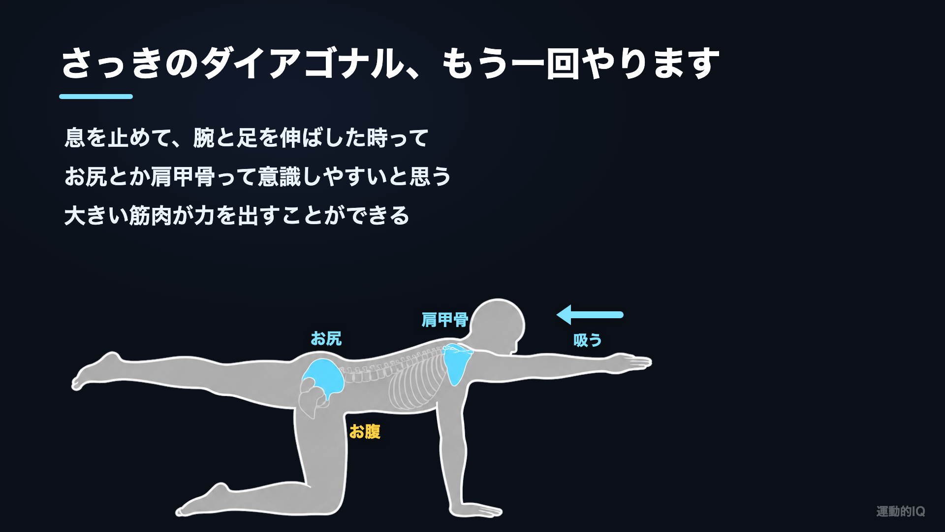 息を止めてやると、お尻と肩甲骨が働く