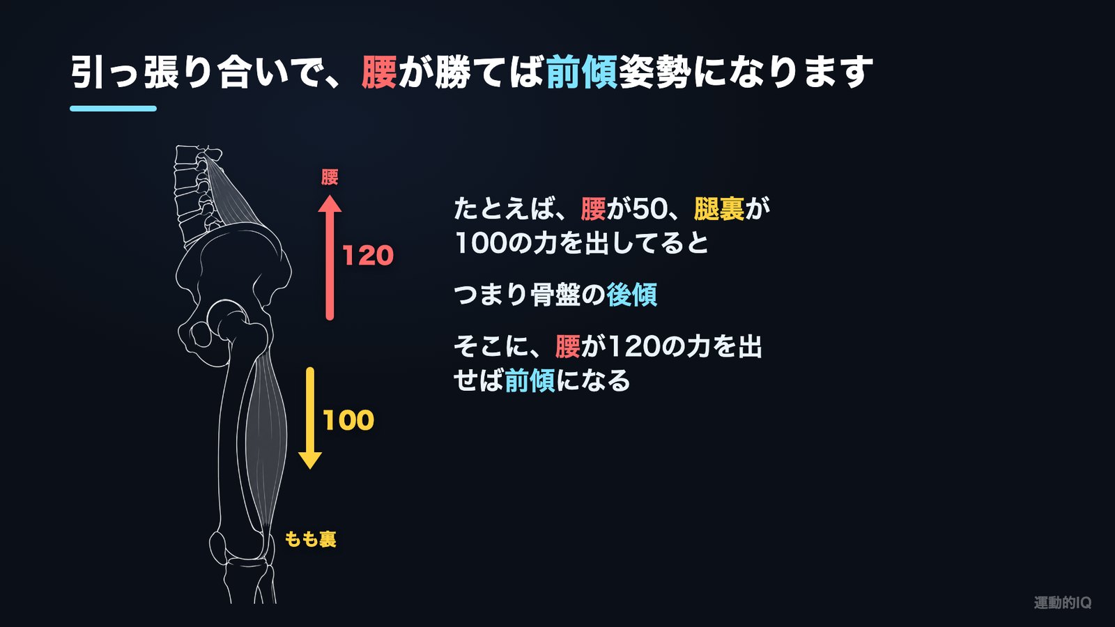 スクワットで腰が痛い理由 腰が120 もも裏が100で引っ張り合っている図