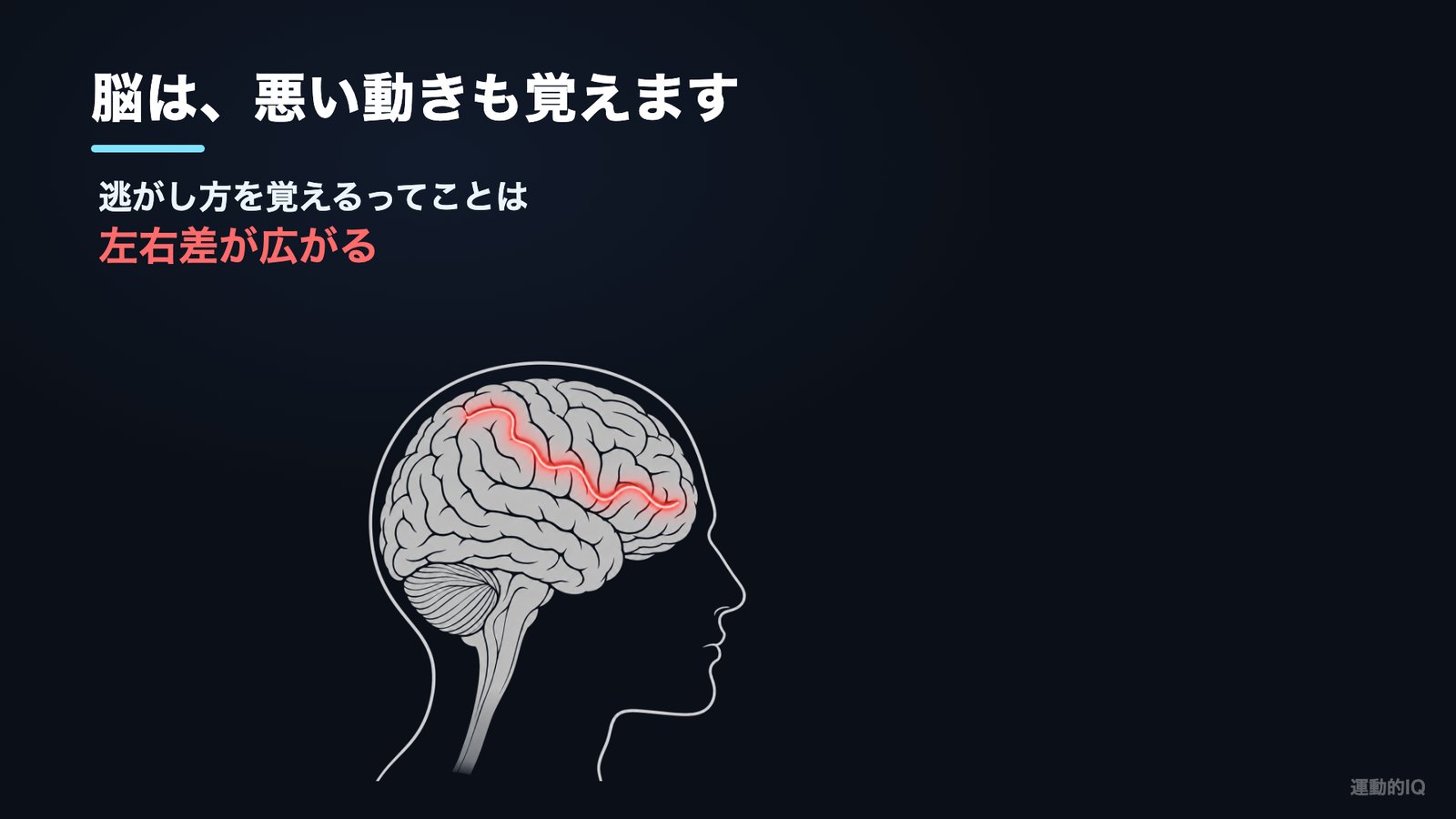 筋トレの左右差|脳が逃がし方を覚える図