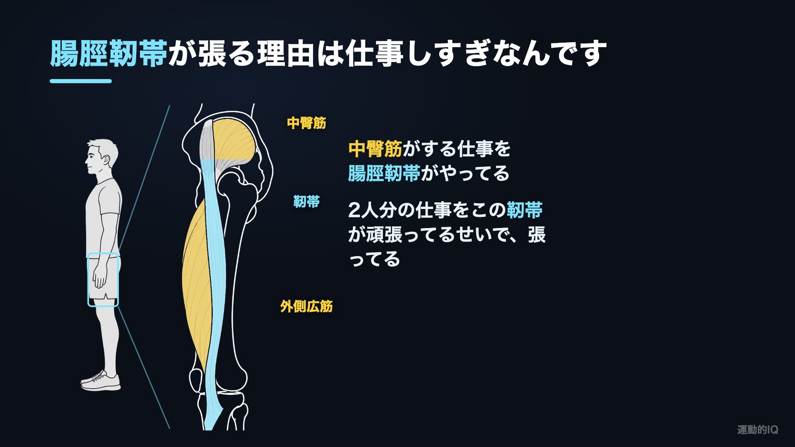 中臀筋の仕事を腸脛靭帯が肩代わりして張る仕組みの図