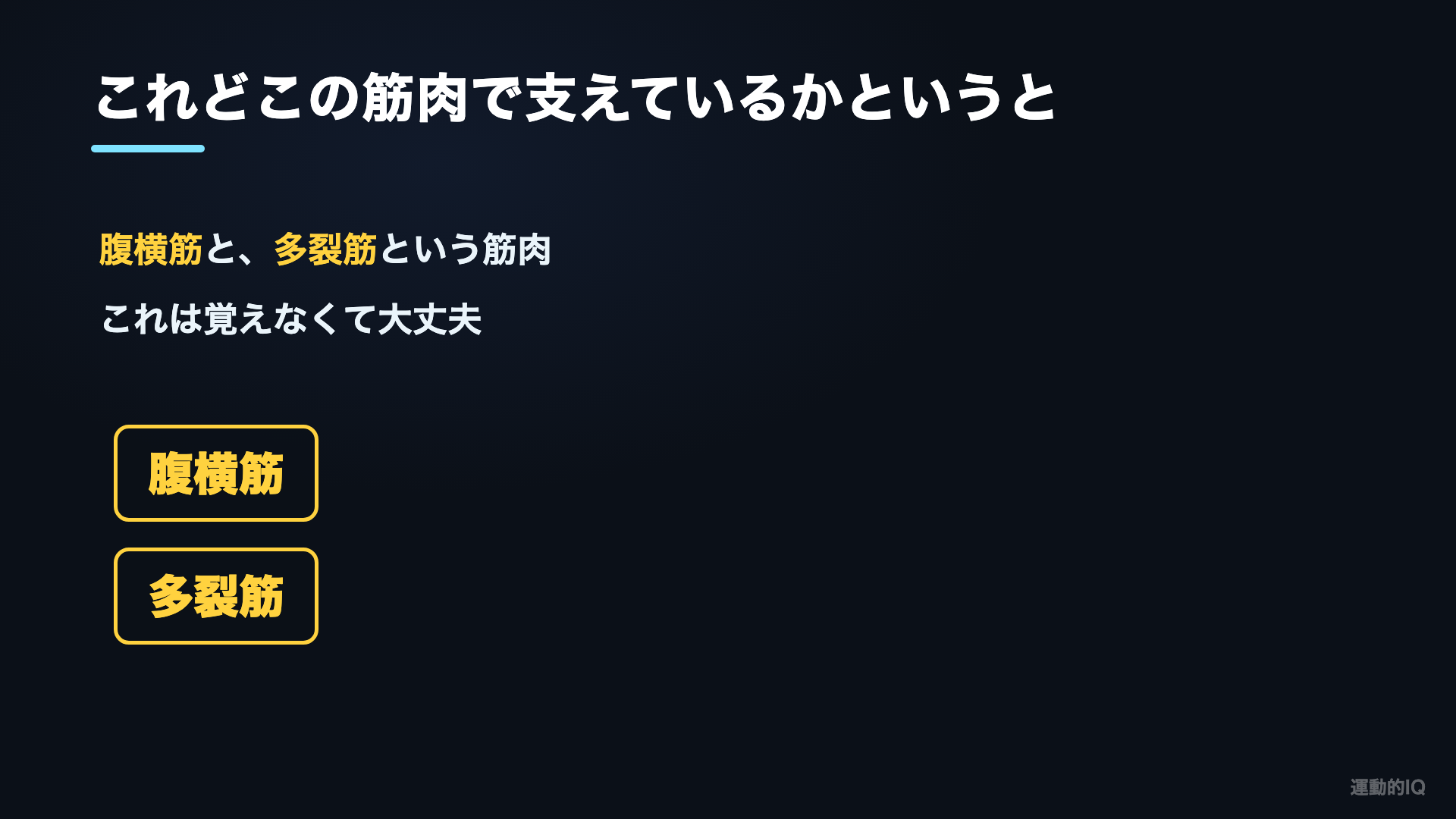 支えているのは腹横筋と多裂筋