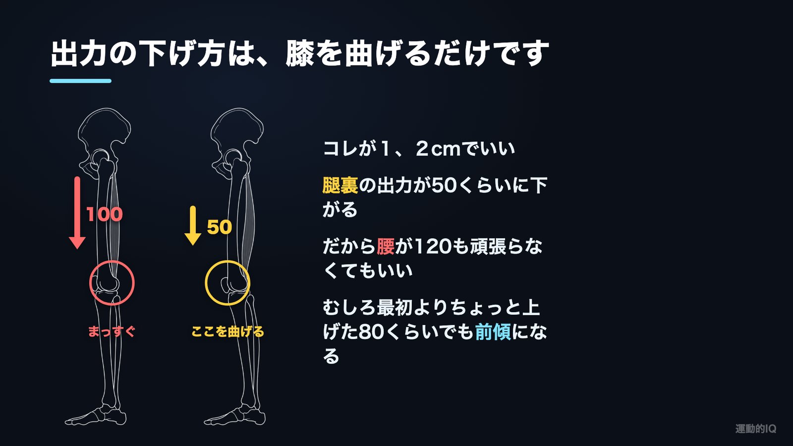 スクワットでもも裏に効かせる方法 膝を1cm曲げるともも裏の出力が下がる図
