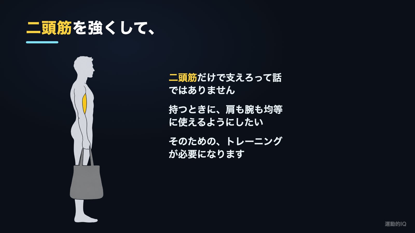 買い物袋を持つと肩が凝る理由 腕を伸ばして持つと上腕二頭筋が伸びている状態の図