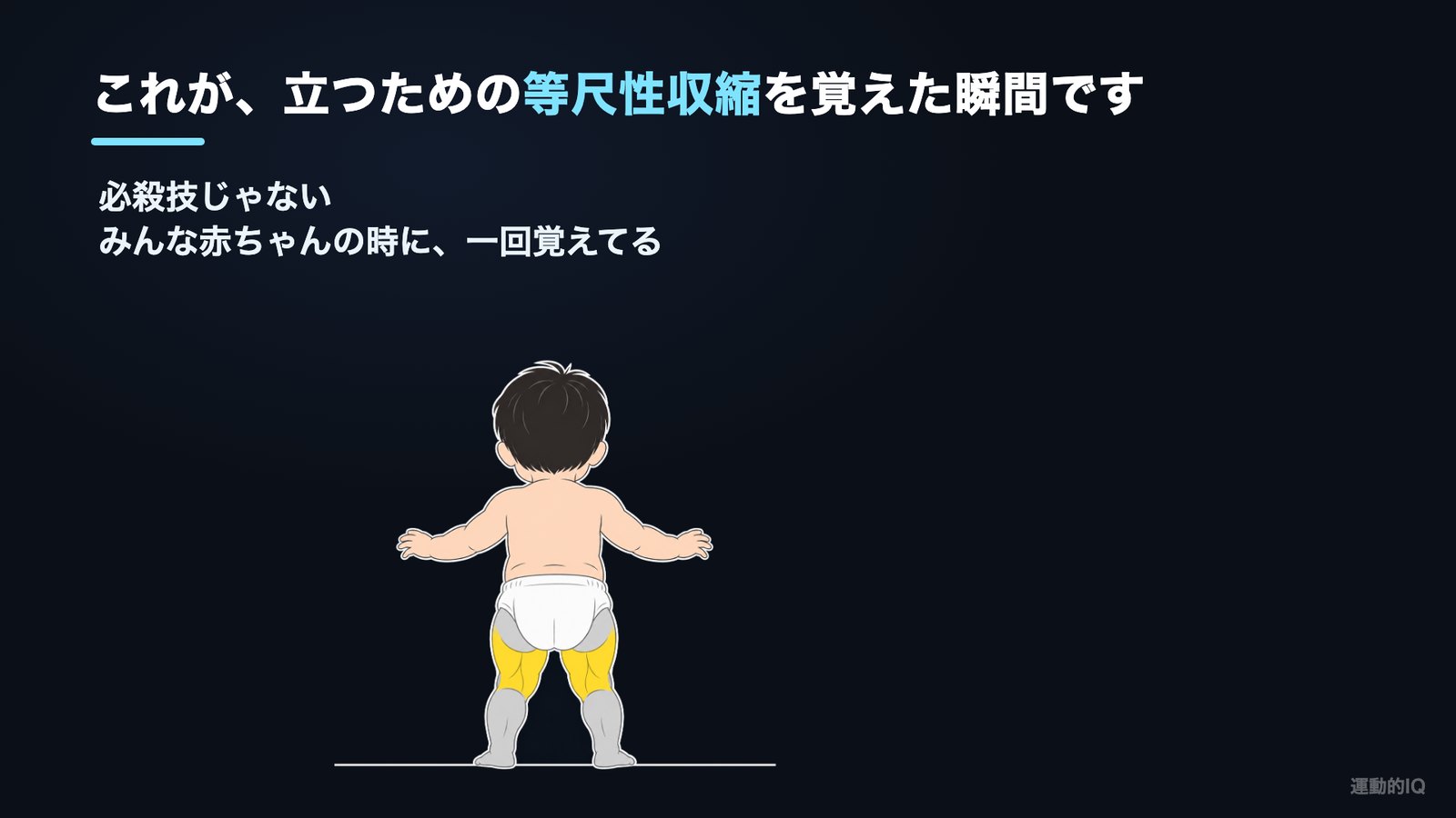 筋トレの左右差|赤ちゃんが立つときに腿裏で支えている図