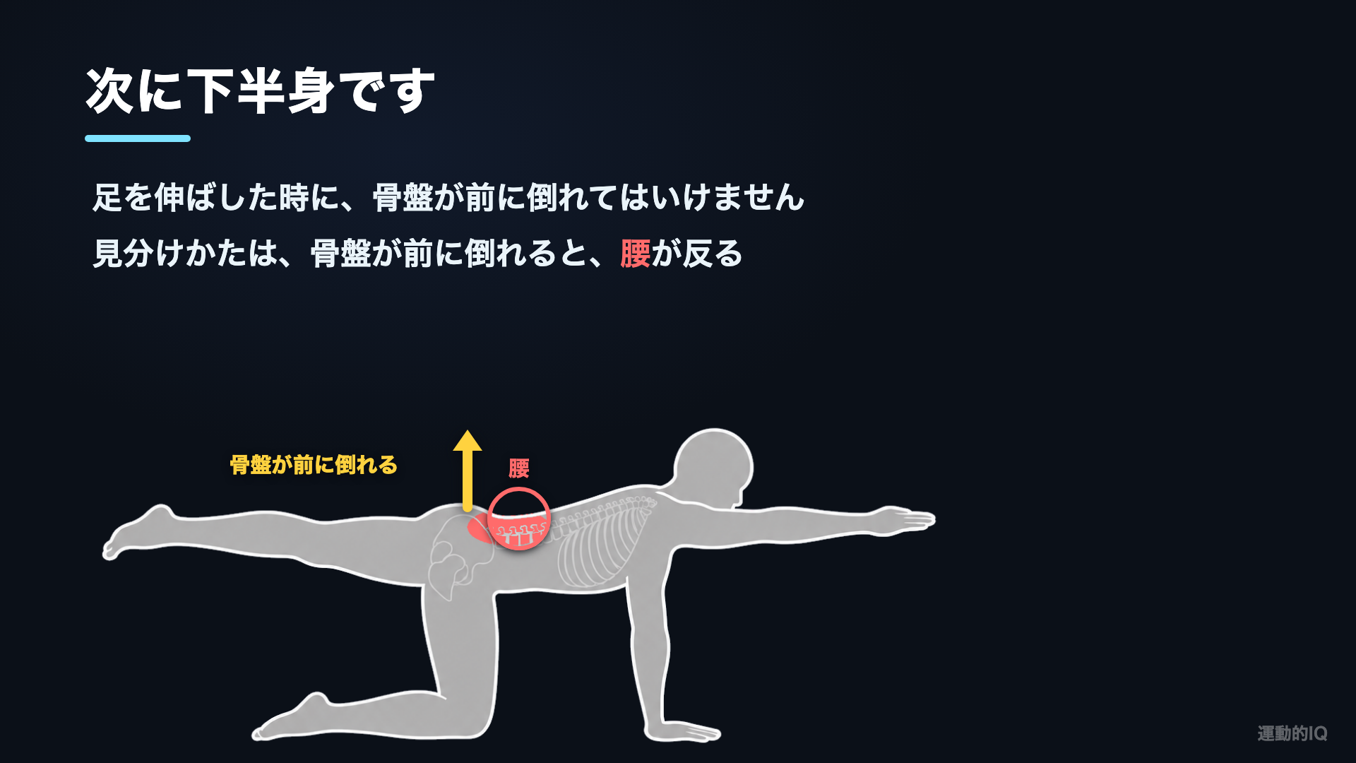 骨盤が前に倒れると腰が反る=NG
