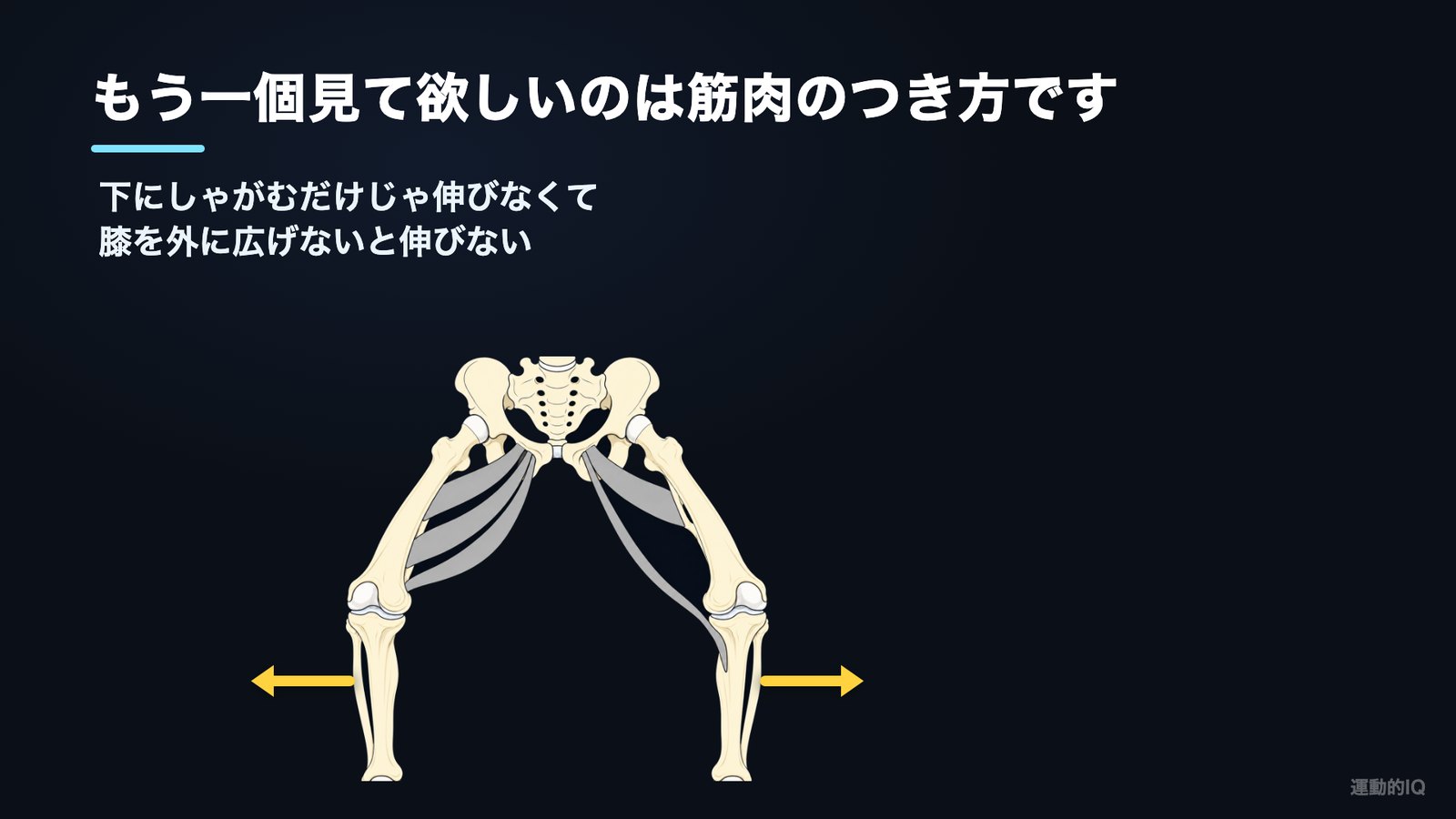 斜めについているので、膝を外に広げないと伸びない