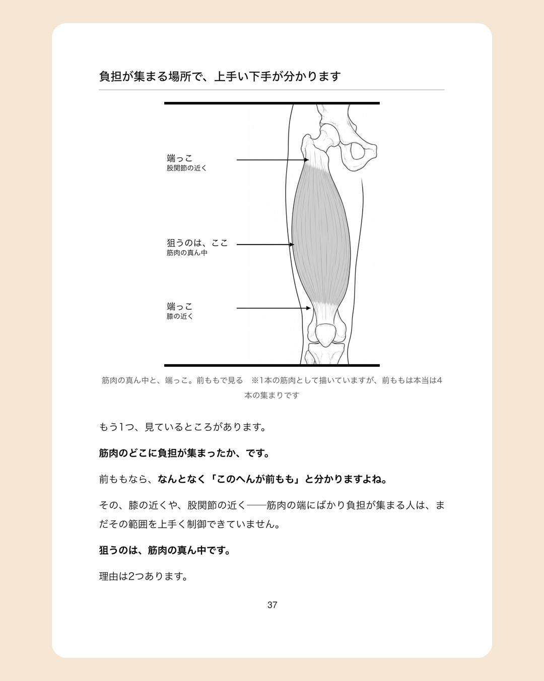 本文37ページ。前ももの図で、筋肉の真ん中と端っこを示している。