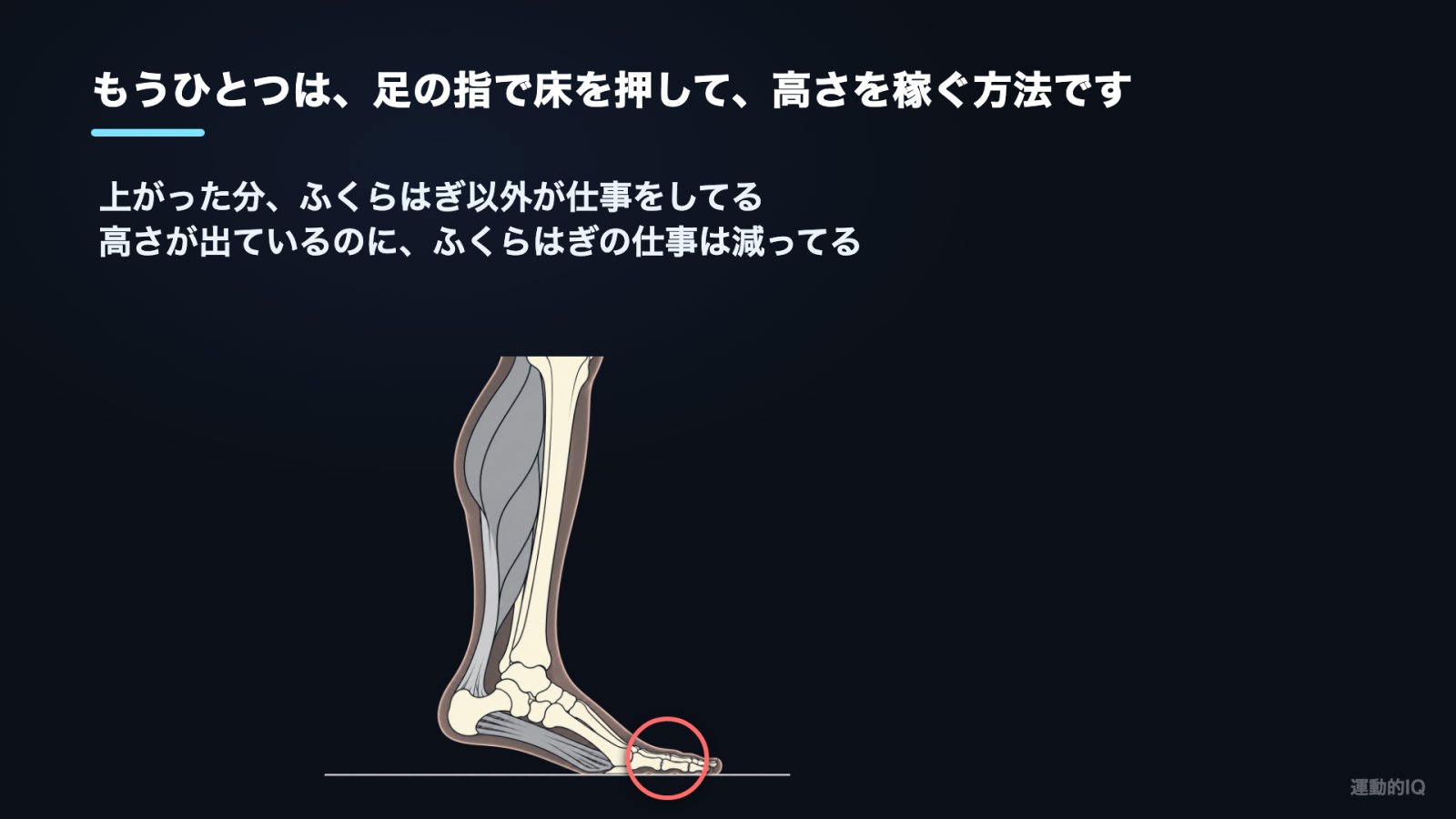 カーフレイズ|足の指で床を押して高さを稼ぐとふくらはぎの仕事が減る図