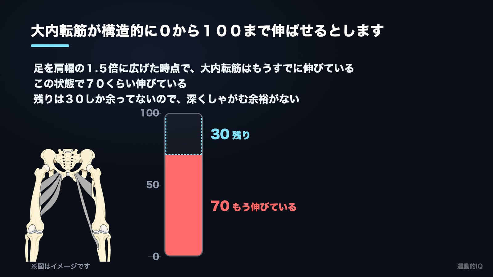 ワイドスクワット|足を広げた時点で大内転筋が70伸びているメーター