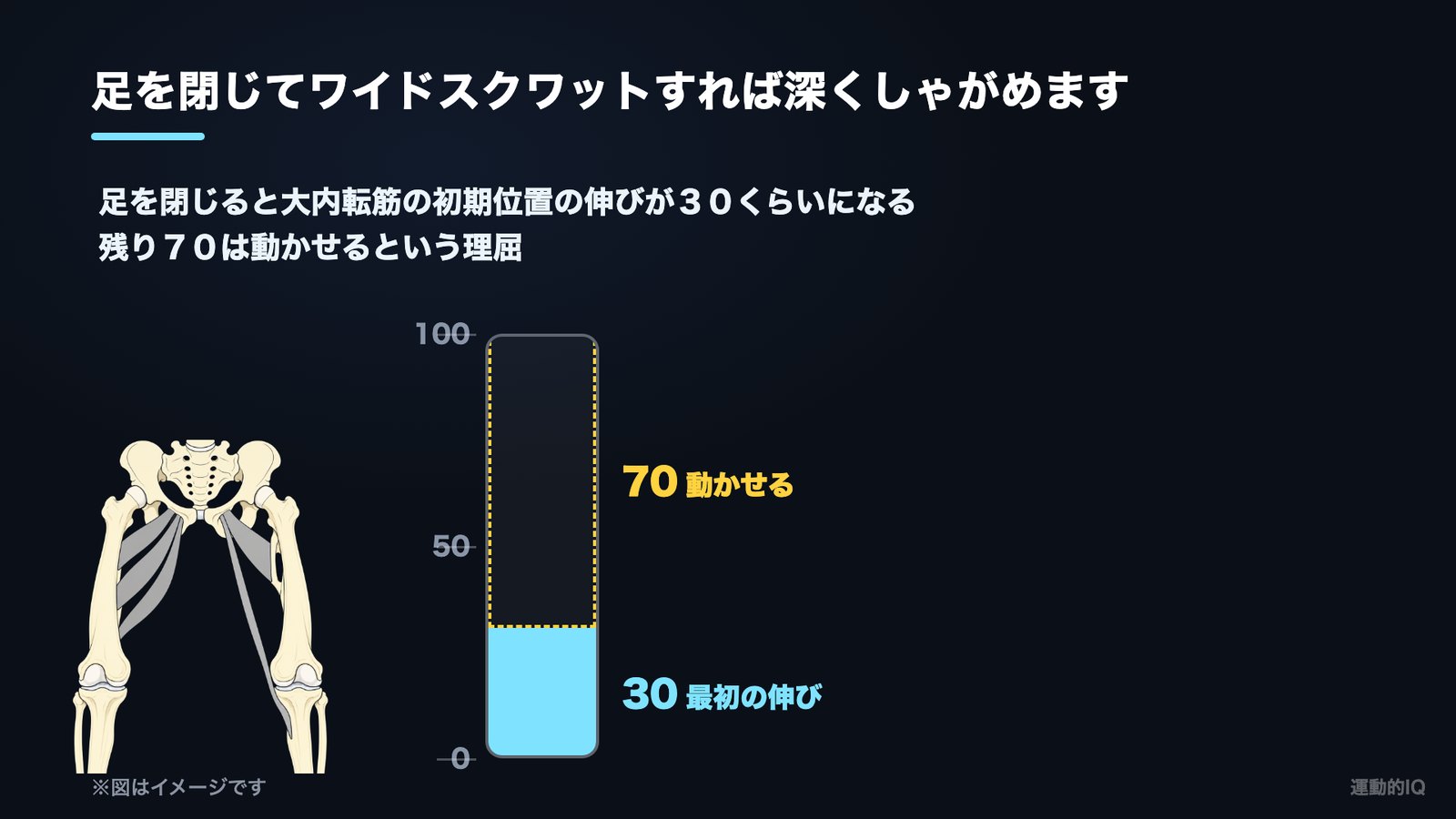 ワイドスクワット|足を閉じると最初の伸びが30・残り70を動かせるメーター