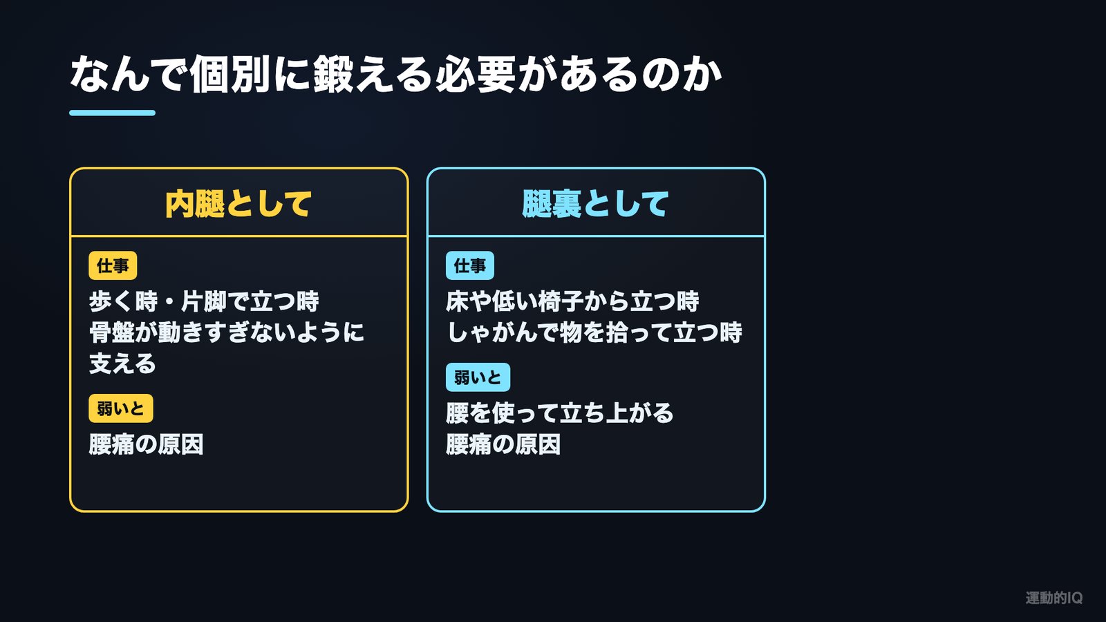 ワイドスクワット|内腿としての大内転筋と腿裏としての大内転筋の役割の比較