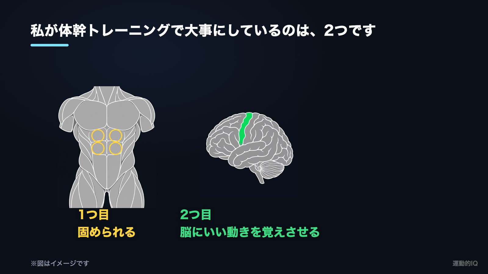 体幹トレーニングで大事な2つ|固められること・脳にいい動きを覚えさせることの図