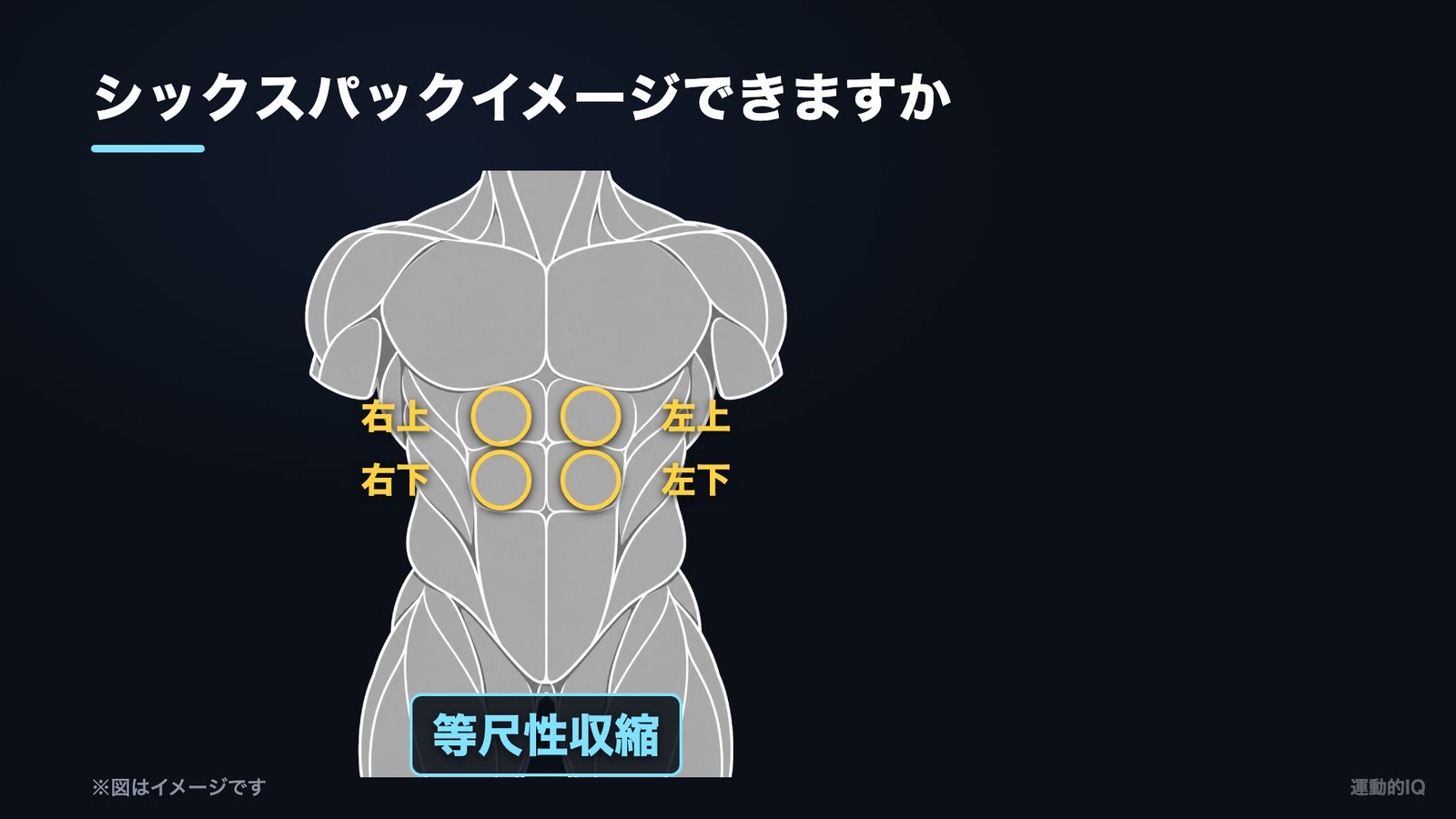 等尺性収縮|シックスパックを右上・左上・右下・左下と1個ずつ固める図