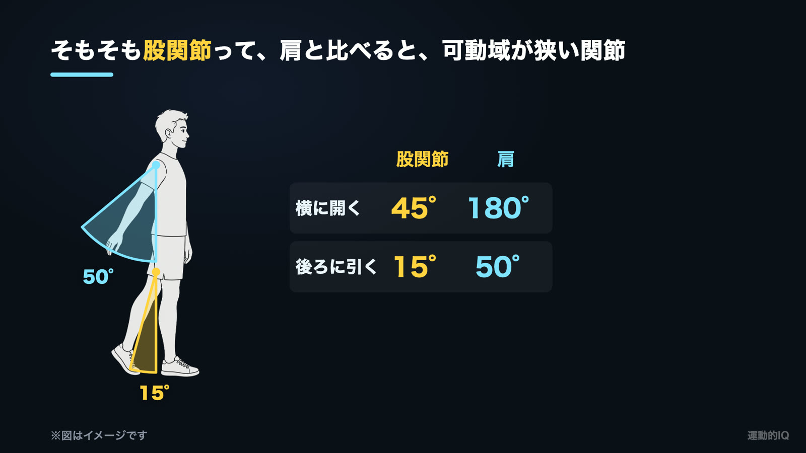 股関節が硬い｜股関節と肩の可動域の比較図（横に開く45度と180度・後ろに引く15度と50度）